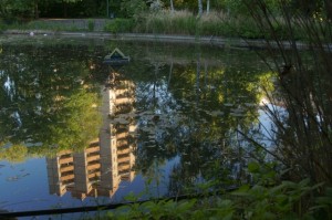 Wie ein verschwunschener Ort: Teich im Thälmannpark