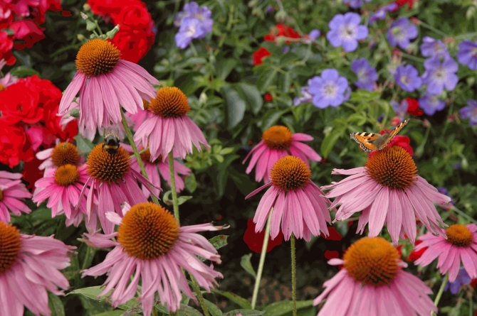 2. Preis, Foto: Joachim Schröder