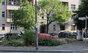 Bisher nur mit Unkraut "begrünt"