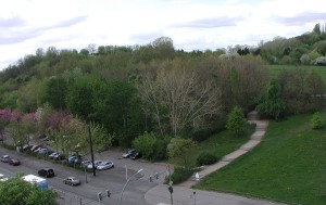 Die Oderbruchkippe vor der Kultivierung...